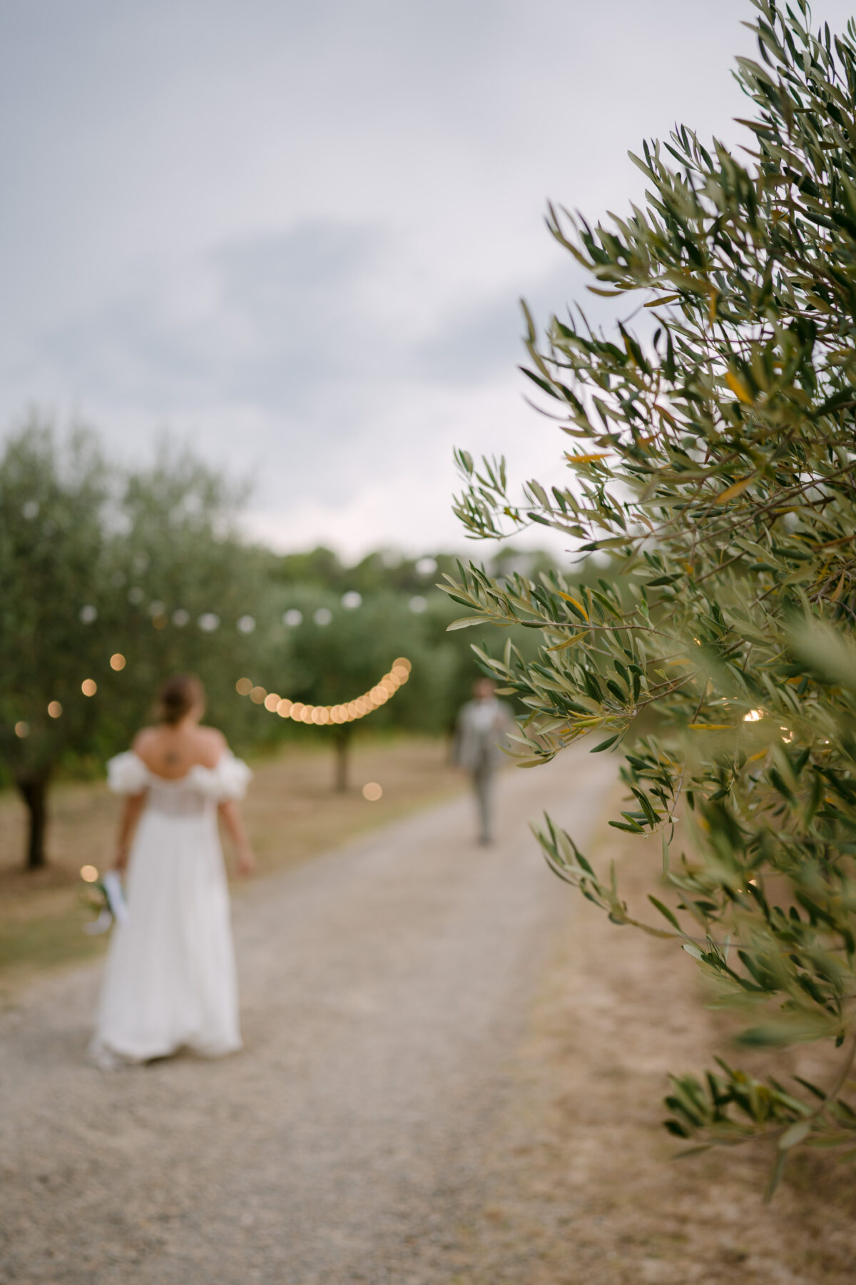 Accueil 101 La mariée marche dans une allée d'oliviers où pendent des guirlandes lumineuses